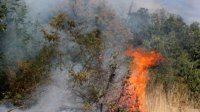 Экстремальный индекс пожарной опасности объявлен в 5 областях страны