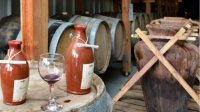 Как виноделу из Варны удалось воскресить вино фракийцев