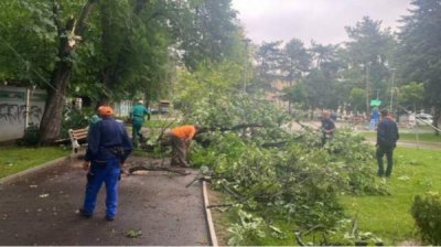 В нескольких муниципалитетах страны бедственное положение из-за вчерашнего града