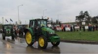 Производители зерна снова протестуют против импорта украинского зерна