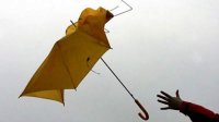 Синоптики предупреждают о сильном ветре в 27 областях страны