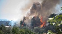 70 болгарских пожарных будут помогать в тушении пожаров в Греции