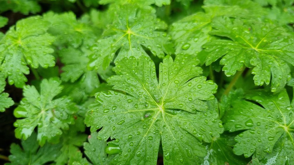 Прогноз погоды на 2 апреля 2026