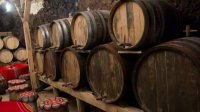 Виноделов радует благодатный год с богатым урожаем и полными бочками вина
