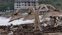Армия поможет в восстановлении после наводнений в южной части черноморского побережья Болгарии