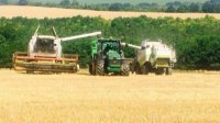 Слабый урожай пшеницы в этом году