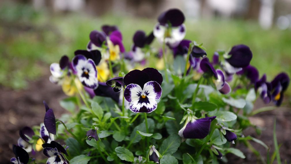 Прогноз погоды на 31 марта 2026