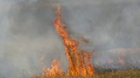 Очень высокий риск пожаров хотя бы до 15 августа