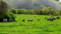90% болгар воспринимают горные продукты как более чистые и полезные для здоровья