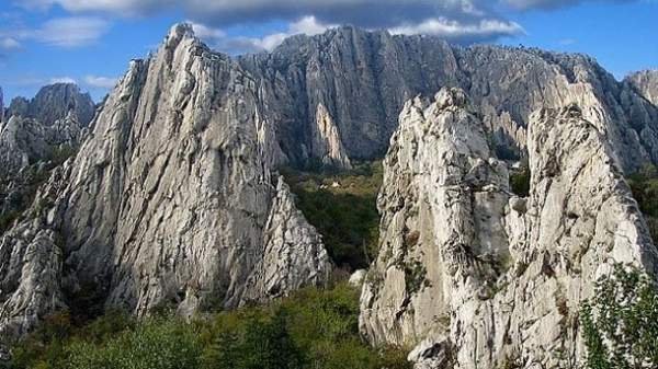 Почти половину флоры Болгарии, находящейся под охраной, можно увидеть в природном парке „Врачанский Балкан”