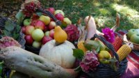 Праздник плодородия в Кюстендиле – красивый и богатый на события