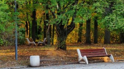 По выходным нас ожидает переменная погода