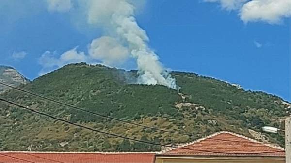 Пожар вспыхнул в Южной Центральной Болгарии