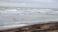 Рыбаки отмечают День Черного моря кампанией его очистки