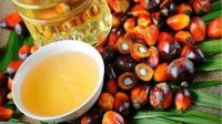 Болгары потребляют все больше продуктов с пальмовым маслом