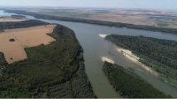 У болгарского берега Дуная создана первая охраняемая зона для осетровых рыб