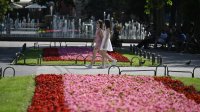 Жаркая погода в первый выходной день