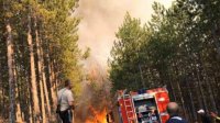 Пожар в горах Рила охватил 1,5 га соснового леса