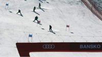 В Банско пройдет Кубок мира по горнолыжному спорту