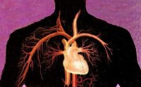 Болгарские кардиологи будут исследовать последствия от коронавируса для сердца