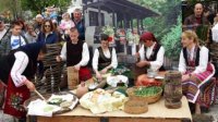 Болгарский лук самардала – царица весны в Нова-Загоре