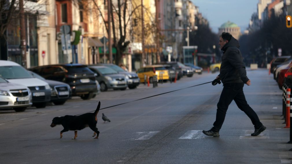 Солнечный весенний день