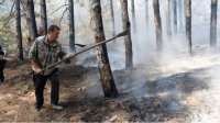 Пожар в Свиленграде взят под контроль
