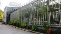 Софийский ботанический сад облачился в праздничный весенний наряд