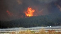 Пожары охватили Юго-Восточную Болгарию