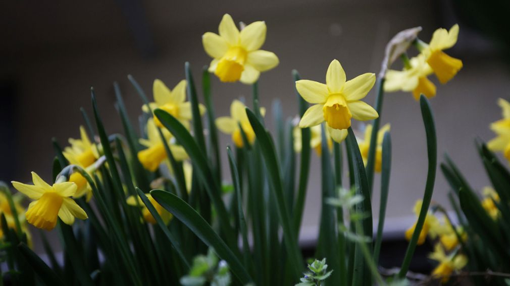 Прогноз погоды на 25 марта 2026