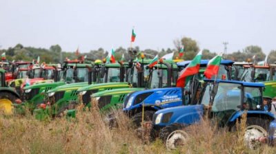 Европейские фермеры в очередной раз требуют защитные меры от украинского импорта