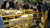 На съезде овцеводов представили старинные кулинарные рецепты