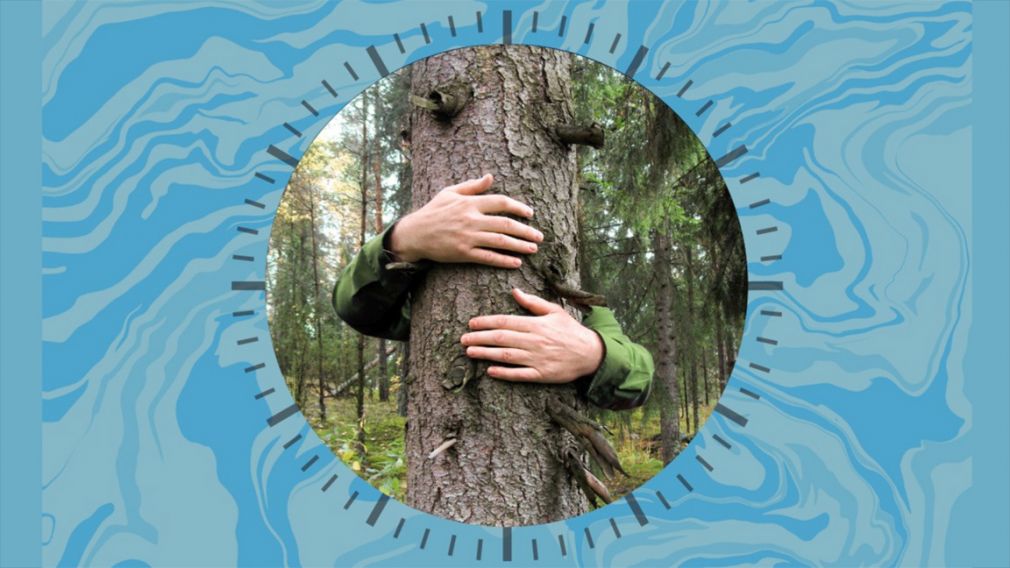 София в очередной раз присоединится к инициативе &laquo;Час Земли&raquo;