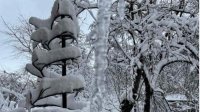 Прогноз погоды: Болгарию сковывают холода