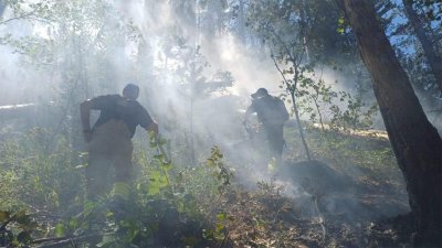 Молния вызвала пожар в Пирине