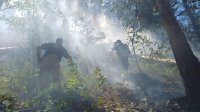 Молния вызвала пожар в Пирине