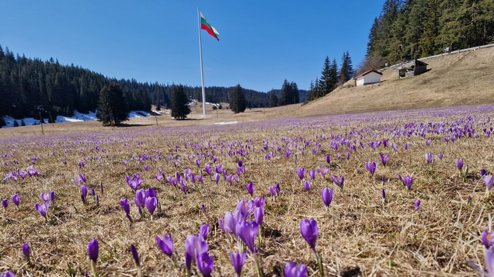 Весенняя погода продолжается