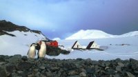 Болгария и Португалия отметили 10-летие сотрудничества в Антарктиде