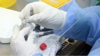 299 новых случаев  коронавируса выявлено за сутки