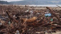 Ведется поиск идей по использованию 7 тонн пластика из Черного моря
