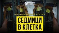 Люди, запертые в клетках, проводят протест перед парламентом