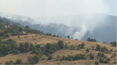 Пятый день продолжаются усилия по тушению пожара в Риле