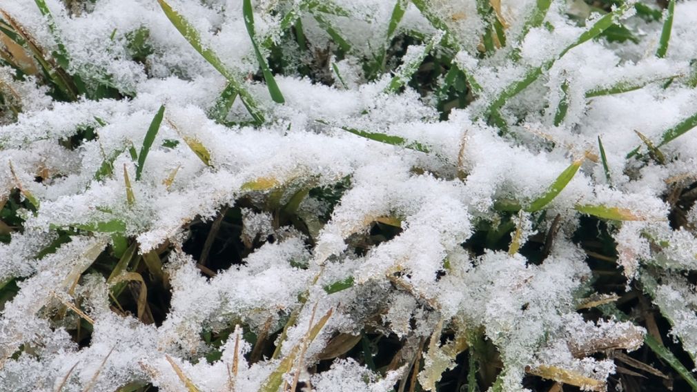 Прогноз погоды на 9 января 2026 г.