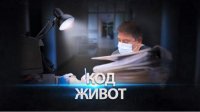 Фильм рассказывает о пути цифрового здравоохранения в Болгарии