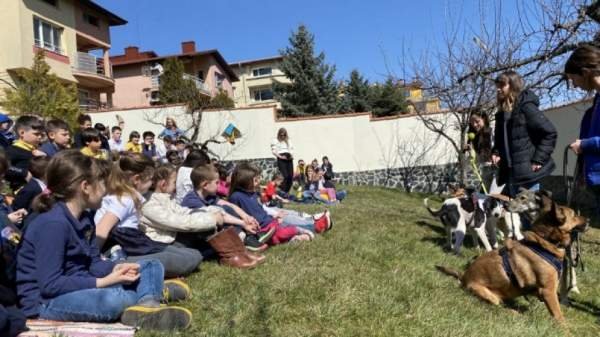 Собаки-терапевты помогают детям столичной школы