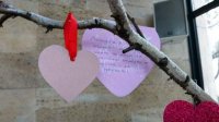 В Пловдиве украшают Дерево любви