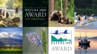 Старые леса Болгарии выиграли голосование европейских граждан в премии «Натура 2000»