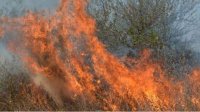 Из-за жары и ветра усиливается опасность полевых и лесных пожаров