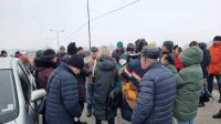 Протест перекрыл дорогу, на которой погибла девушка из-за безнадзорных лошадей