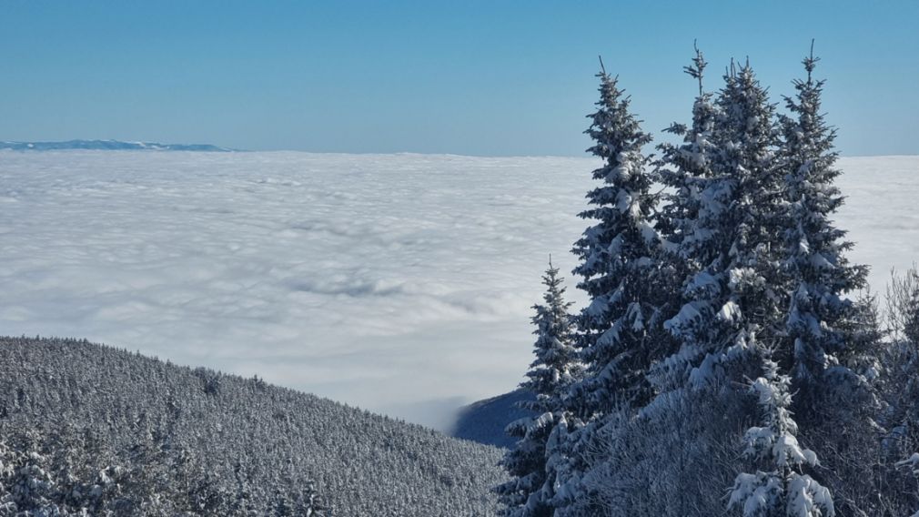 Прогноз погоды на 15 января 2025